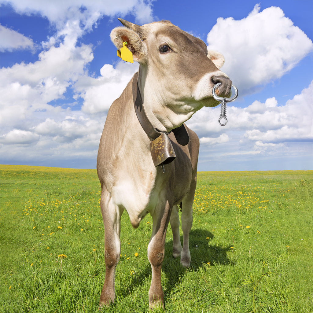 Qpets® Cattle Nose Ring No-piercing Bull Nose Ring Clip-on Cattle Nose Ring Stainless Steel Detachable Cattle Cows Nose Ring Qpets® Cattle Nose Ring No-piercing Bull Nose Ring Clip-on Cattle Nose Ring Stainless Steel Detachable Cattle Cows Nose Ring